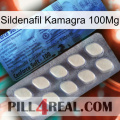 Sildenafil Kamagra 100Mg 34